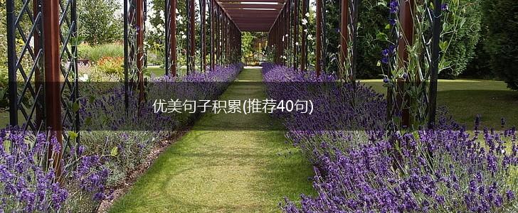 优美句子积累(推荐40句),第1张
