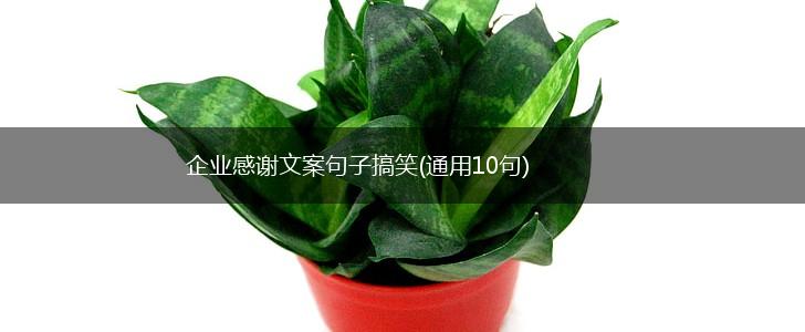 企业感谢文案句子搞笑(通用10句),第1张