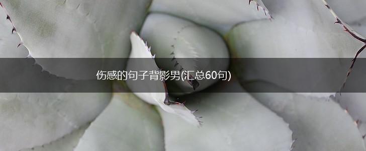 伤感的句子背影男(汇总60句),第1张