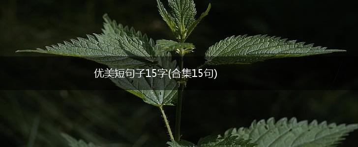 优美短句子15字(合集15句),第1张