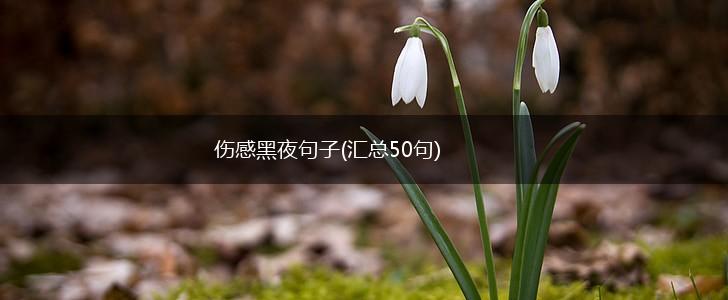 伤感黑夜句子(汇总50句),第1张