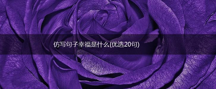 仿写句子幸福是什么(优选20句),第1张
