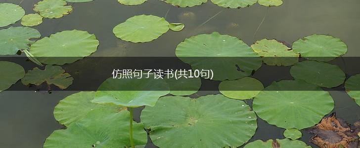 仿照句子读书(共10句),第1张