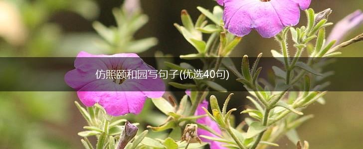 仿照颐和园写句子(优选40句),第1张