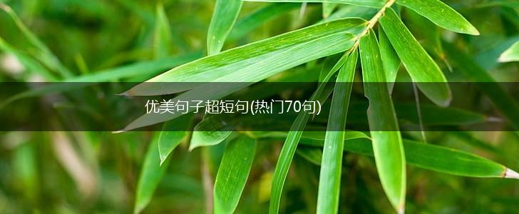 优美句子超短句(热门70句),第1张