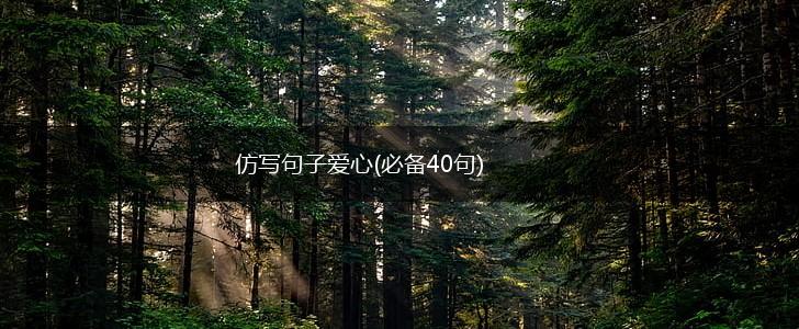 仿写句子爱心(必备40句),第1张