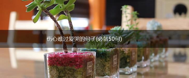 伤心难过爱哭的句子(必备50句),第1张