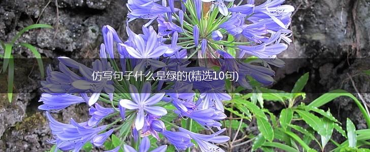仿写句子什么是绿的(精选10句),第1张