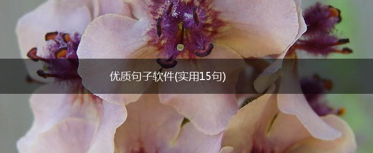 优质句子软件(实用15句),第1张