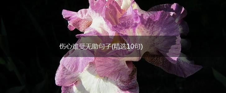 伤心难受无助句子(精选10句),第1张