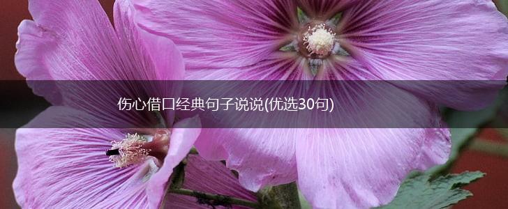 伤心借口经典句子说说(优选30句),第1张