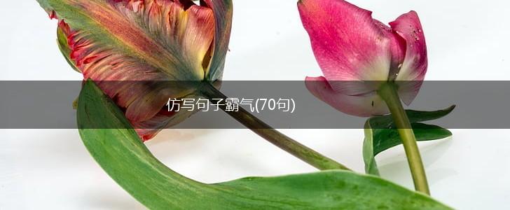 仿写句子霸气(70句),第1张