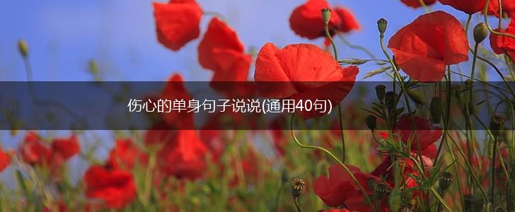 伤心的单身句子说说(通用40句),第1张
