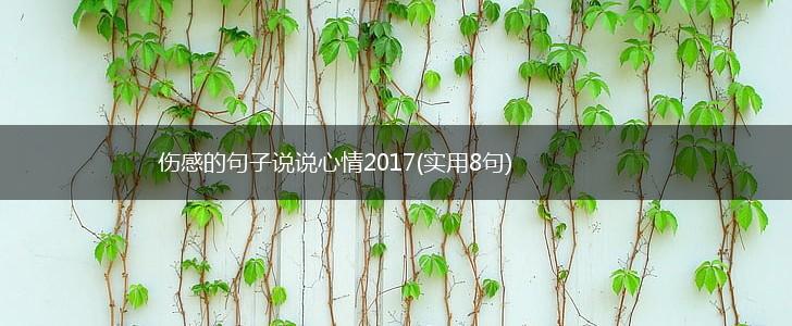 伤感的句子说说心情2017(实用8句),第1张