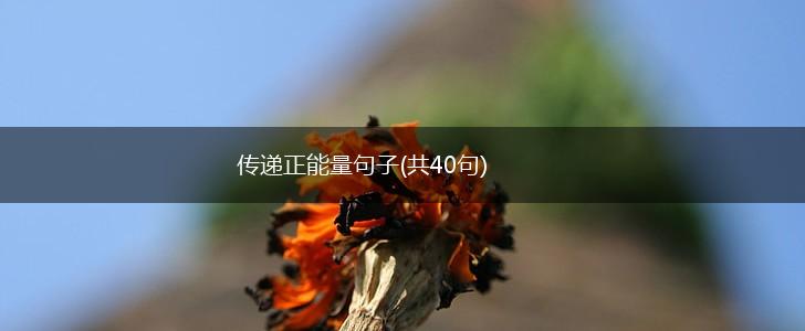 传递正能量句子(共40句),第1张
