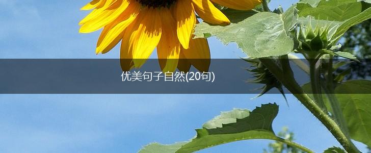 优美句子自然(20句),第1张