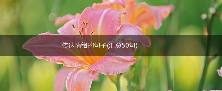 传达情绪的句子(汇总50句),第1张