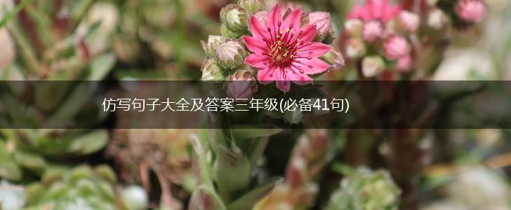 仿写句子大全及答案三年级(必备41句),第1张