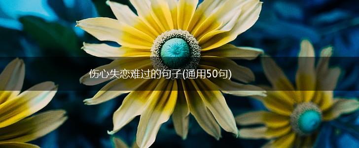 伤心失恋难过的句子(通用50句),第1张