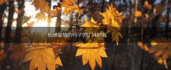 伤感爱情的句子(热门40句),第1张