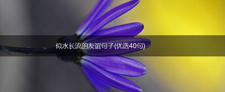 似水长流的友谊句子(优选40句),第1张