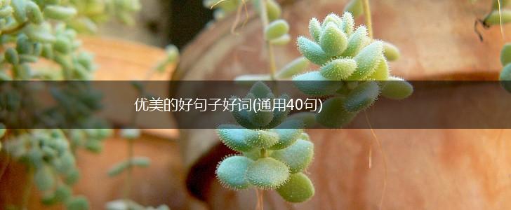 优美的好句子好词(通用40句),第1张