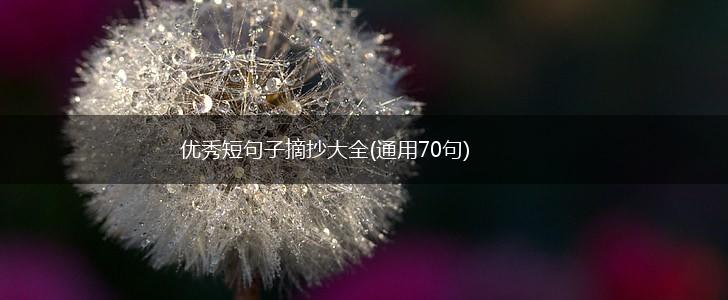 优秀短句子摘抄大全(通用70句),第1张