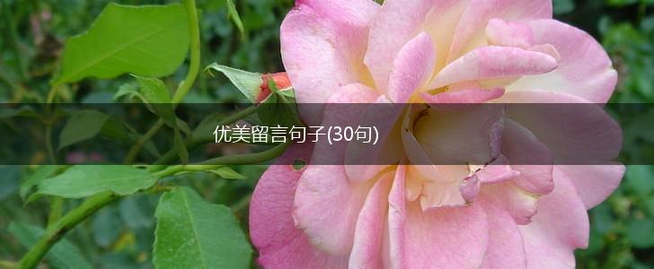 优美留言句子(30句),第1张