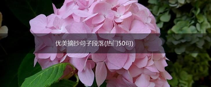 优美摘抄句子段落(热门50句),第1张