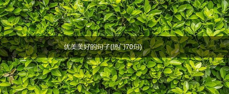 优美美好的句子(热门70句),第1张