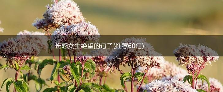 伤感女生绝望的句子(推荐60句),第1张