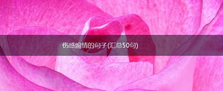 伤感煽情的句子(汇总50句),第1张