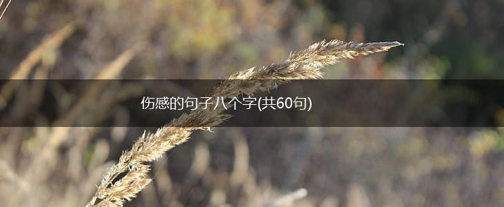 伤感的句子八个字(共60句),第1张