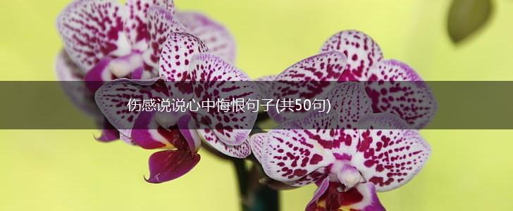 伤感说说心中悔恨句子(共50句),第1张