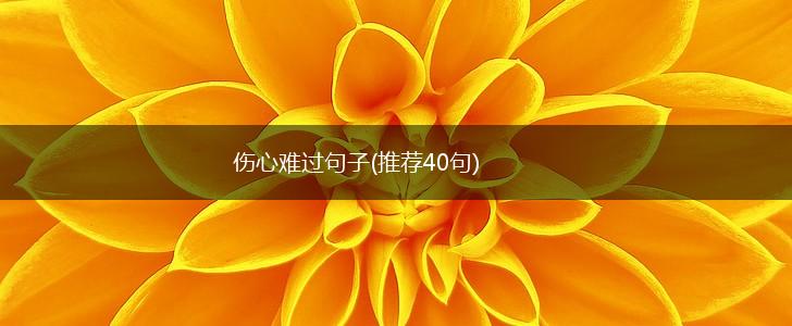伤心难过句子(推荐40句),第1张