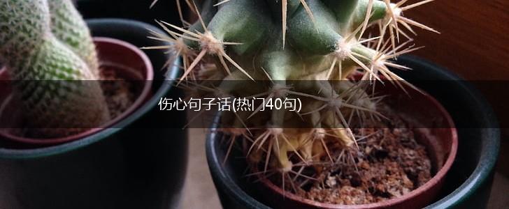 伤心句子话(热门40句),第1张