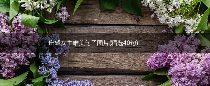 伤感女生唯美句子图片(精选40句),第1张