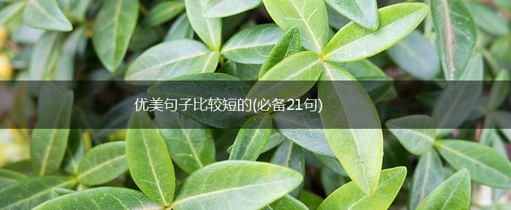 优美句子比较短的(必备21句),第1张