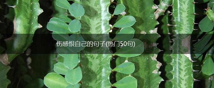 伤感恨自己的句子(热门50句),第1张