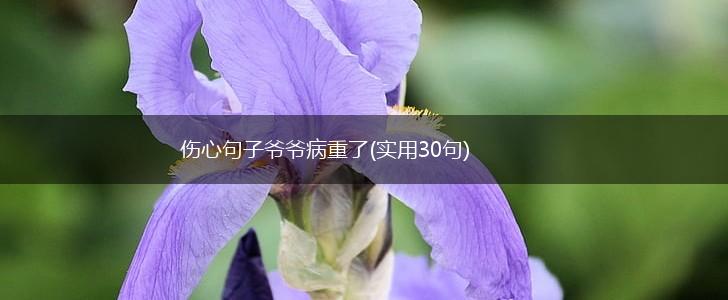 伤心句子爷爷病重了(实用30句),第1张