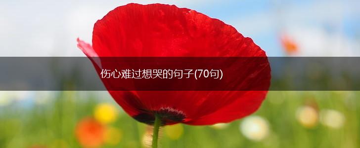 伤心难过想哭的句子(70句),第1张