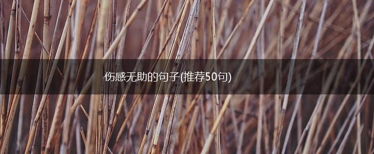 伤感无助的句子(推荐50句),第1张