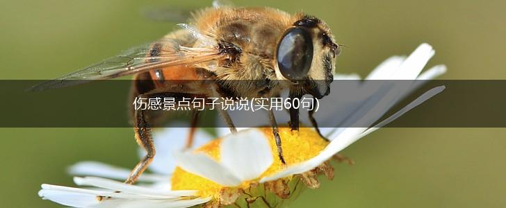 伤感景点句子说说(实用60句),第1张