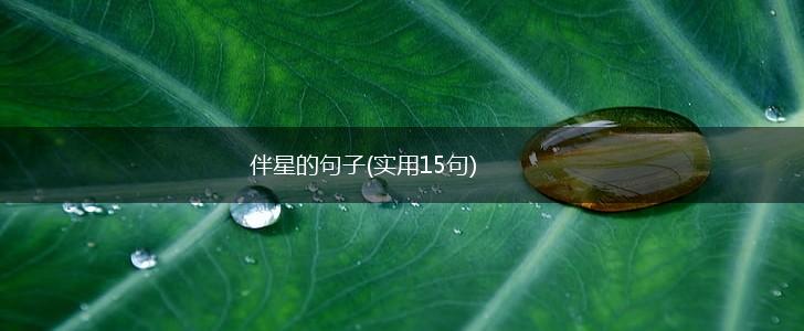 伴星的句子(实用15句),第1张