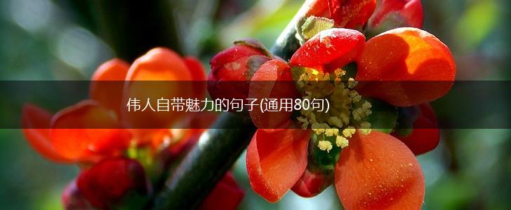 伟人自带魅力的句子(通用80句),第1张
