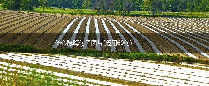 伤心隐晦句子图片(通用60句),第1张