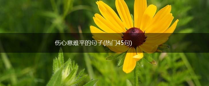 伤心意难平的句子(热门45句),第1张