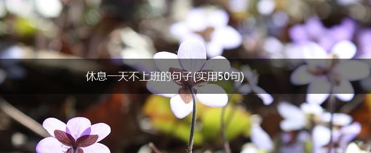 休息一天不上班的句子(实用50句),第1张