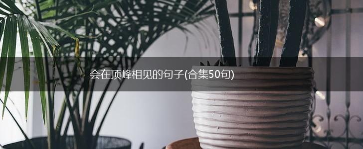 会在顶峰相见的句子(合集50句),第1张