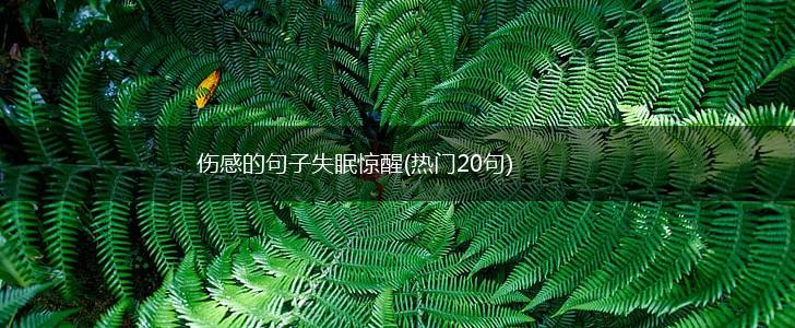 伤感的句子失眠惊醒(热门20句),第1张